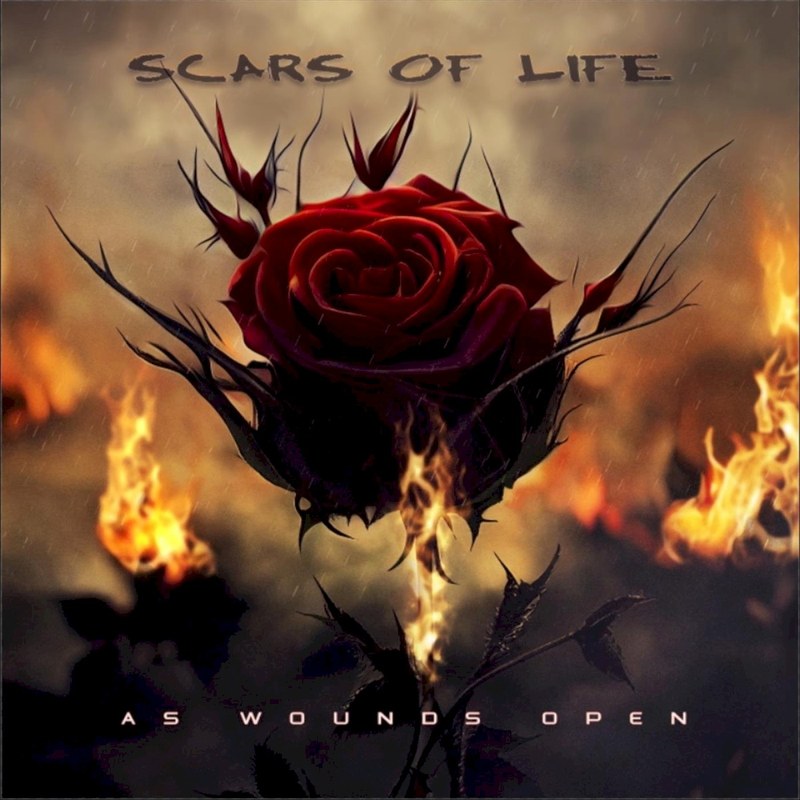 As Wounds Open cover