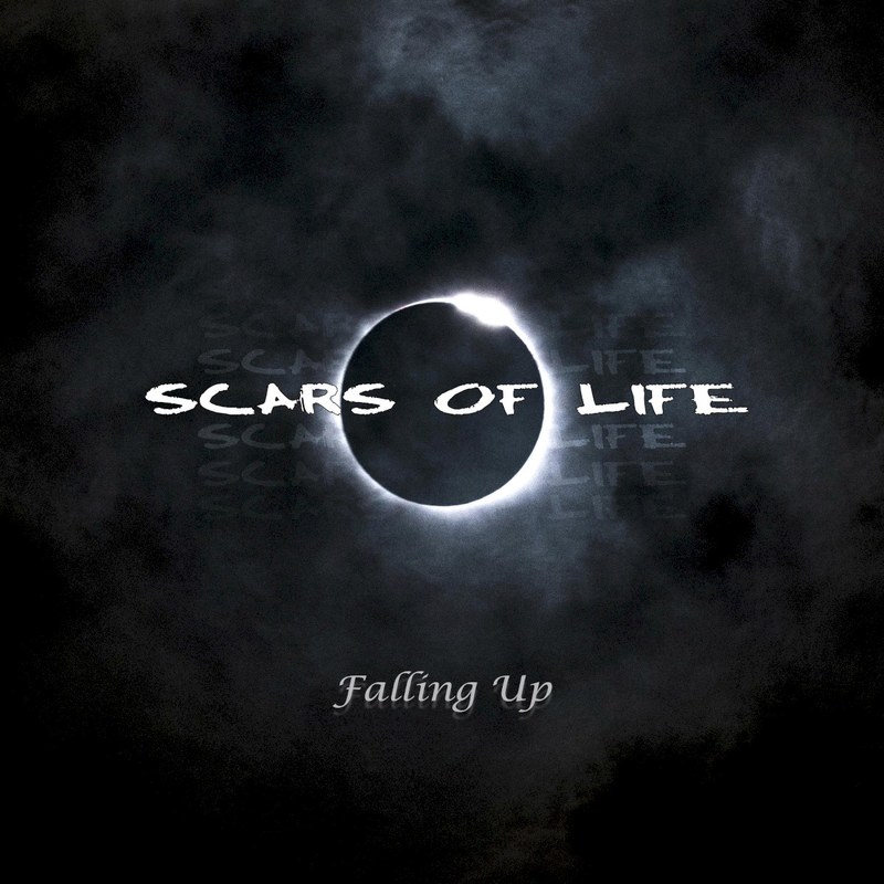Falling Up cover