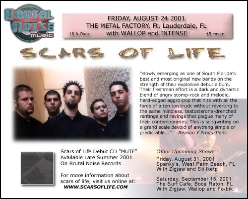 Scars of Life — flyers